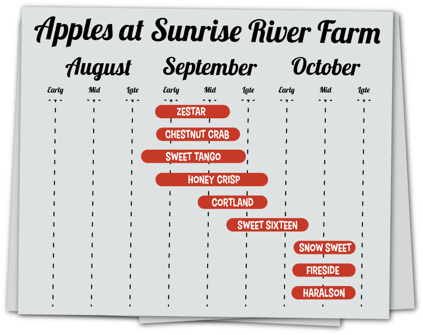 Apple Ripening Chart