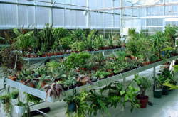 Sunrise River Farm Photo