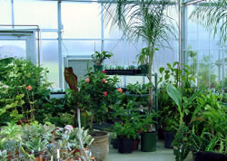 Sunrise River Farm Photo