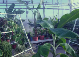 Sunrise River Farm Photo