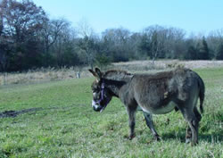 Sunrise River Farm Photo