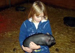 Sunrise River Farm Photo