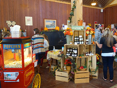 Farm Market with Apples, Plants, and country favorites at Sunrise River Farm and U-Pick Apple Orchard in Wyoming, Minnesota, NE of Minneapolis